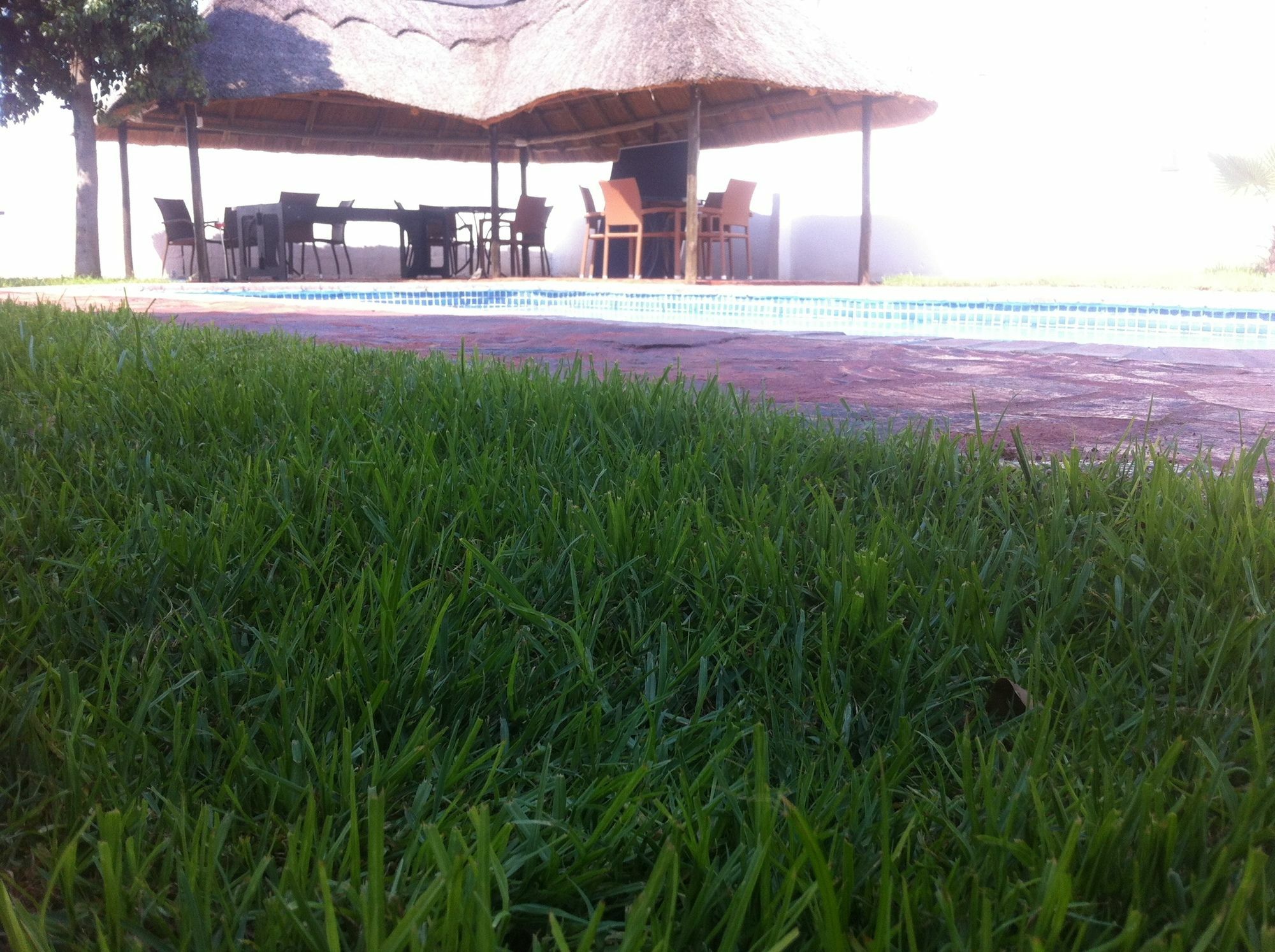Cosy Palms Bed & Breakfast Gaborone Bagian luar foto